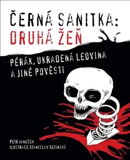 Detektívky, trilery, horory Černá sanitka: Druhá žeň - Petr Janeček,Stanislav Setinský