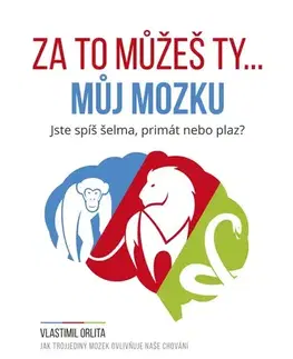 IQ testy, logika Za to můžeš ty... můj mozku - Vlastimil Orlita