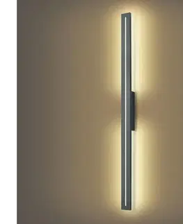 LED osvetlenie BRILAGI - LED Vonkajšie nástenné svietidlo LINEO LED/24W/230V 3000K IP65 antracit BRI272