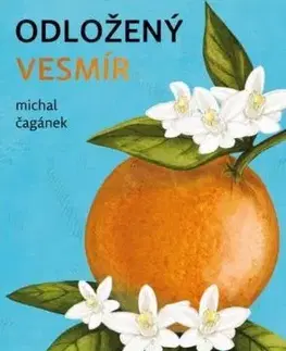 Česká beletria Odložený Vesmír - Michal Čagánek