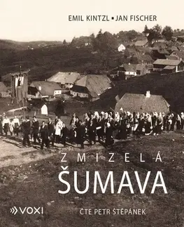 História Voxi Zmizelá Šumava