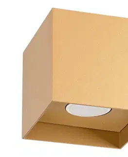 Svietidlá  SL.1279 - Bodové svietidlo HATI 1xGU10/10W/230V zlatá SL.1279