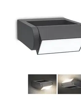 LED osvetlenie BRILAGI - LED Vonkajšie nástenné svietidlo CROTONE LED/7W/230V antracit IP54 WO-HR60441-OEM-ANT