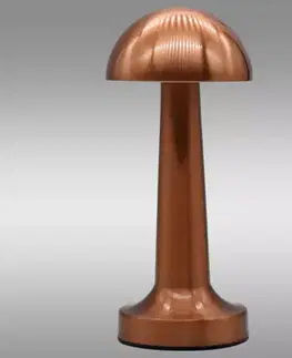 Lampy do obývačky Stolná lampa ISA 49020 PINK-GOLD USB LB1