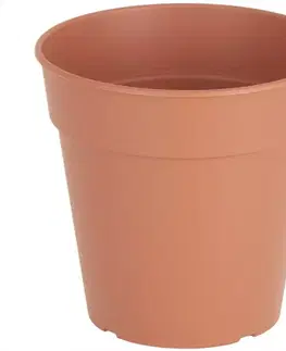 Záhrada Kvetináč MADAGASCAR 13 cm terracotta