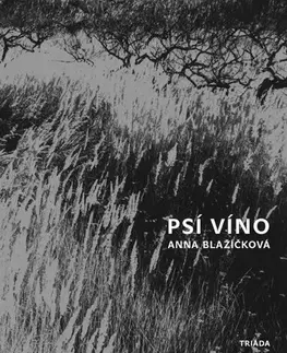 Romantická beletria Psí víno - Anna Blažíčková