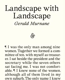 Beletria Landscape with Landscape - Gerald Murnane