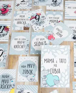 Míľnikové kartičky Míľnikové kartičky na fotenie - Sivý medveď