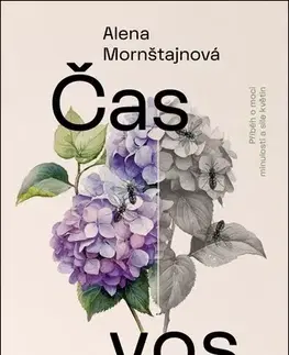 Česká beletria Čas vos - Alena Mornštajnová