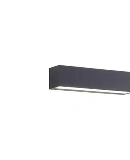Svietidlá Paul Neuhaus 9675-13 - LED Vonkajšie nástenné svietidlo ROBERT 2xLED/9W/230V IP65 9675-13