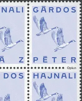 Svetová beletria Hajnali láz - Péter Gárdos