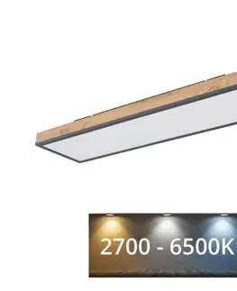 Svietidlá Globo 416080WD4-CCT - LED Stmievateľné stropné svietidlo DORO LED/24W/230V + DO 416080WD4-CCT