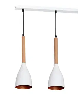 Svietidlá  Luster na lanku MUZA 3xE27/60W/230V 9108