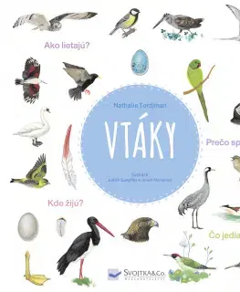 Príroda Vtáky - Natalie Tordjman
