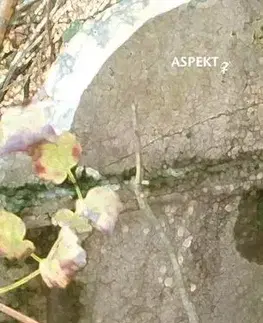 Poézia Nevybavená záležitosť - Jana Juráňová