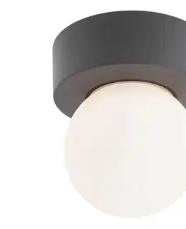 Záhradné lampy Redo 90641 - Vonkajšie stropné svietidlo BULK 1xE27/28W/230V IP44 antracit 90641