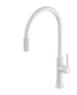 Kuchynské drezy OMNIRES OMNIRES - SWITCH drezová batéria so sadou filtra D1, biela mat SW9057-FD1WM