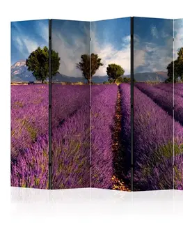 Paravány Paraván Lavender field in Provence, France Dekorhome