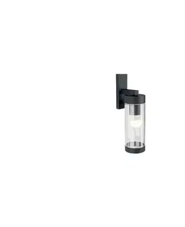 Svietidlá  Vonkajšie nástenné svietidlo 1xE27/60W/230V IP44 čierna OUTD. WALL LIGHT E27 XD CLEAR
