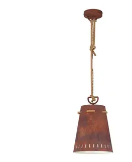 Svietidlá Eglo 43404 - Závesné svietidlo MEOPHAM na lanku 1xE27/60W/230V 43404