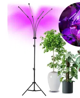 Lampy BRILAGI-LED Stmiev. stojacia lampa na pestovanie rastlín VITABLOOM 4xLED/7,5W/230V 004072