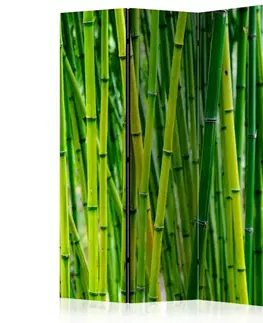 Paravány Paraván Bamboo Forest Dekorhome