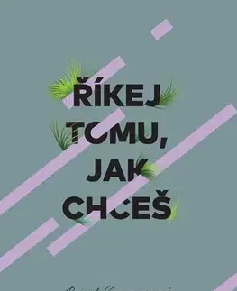 Young adults Říkej tomu, jak chceš, 2. vydání - Brigid Kemmerer,Helena Šváchová