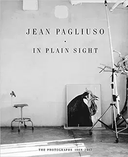 Fotografia Jean Pagliuso - In Plain Sight - Kolektív autorov