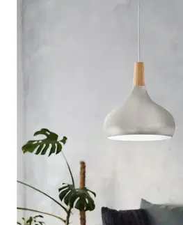 Svietidlá Eglo 96985 - Závesné svietidlo SABINAR 1xE27/60W/230V pr. 28 cm strieborná 96985