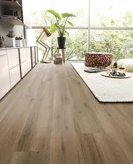 Novo TILO Novo Dub finca 100001901