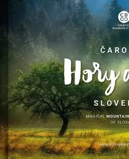 Encyklopédie, obrazové publikácie Čarovné hory a lesy Slovenska - Adriana Drugová,Martin Kmeť