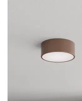 Svietidlá BRILAGI - Stropné svietidlo CLARE 1xE27/40W/230V pr. 20 cm hnedé 8590828125730