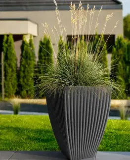 Záhrada Kvetináč Lotus