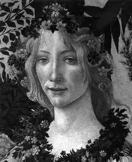 Výtvarné umenie Botticelli - Lionello Venturi,Allesandro Cecchi