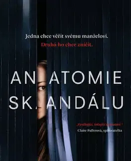 Detektívky, trilery, horory Anatomie skandálu - Vaughan Sarah