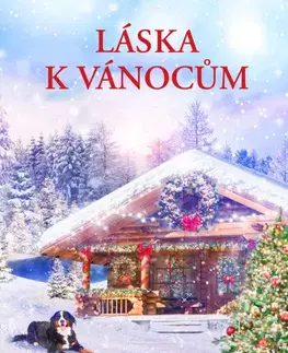 Romantická beletria Láska k Vánocům - Karen Schaler,Dana Chodilová