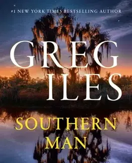 Detektívky, trilery, horory Southern Man - Greg Iles