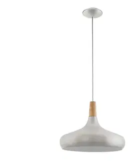 Svietidlá Eglo 96986 - Závesné svietidlo SABINAR 1xE27/60W/230V pr. 40 cm strieborná 96986