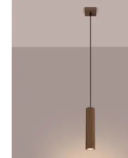 Svietidlá BRILAGI - LED luster na lanku CRESTO 1xGU10/10W/230V hnedý BR.1957