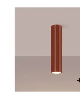 Svietidlá BRILAGI - LED bodové svietidlo CRESTO 1xGU10/10W/230V 30 cm červené BR.1627