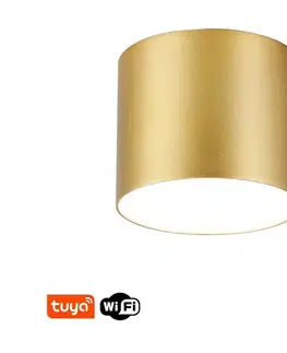 Svietidlá  NEO 07318L - LED stmievateľné stropné svietidlo RONDATE 32W/230V 16,5 cm Wi-Fi Tuya zlatá 07318L