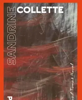 Romantická beletria Přišla za svítání - Sandrine Collette