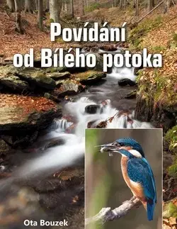 Novely, poviedky, antológie Povídání od Bílého potoka - Ota Bouzek
