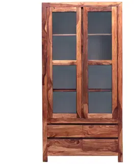 Knižnice Vitrína Gani 100x200x45 z indického masívu palisander