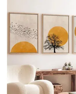 Obrazy  Sada 3 ks obrazov vo fotorámiku 50x70 cm béžová/oranžová 693BSE1310