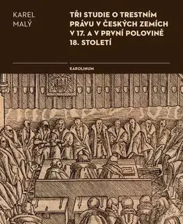 Právo Tři studie o trestním právu v českých zemích v 17. a v první polovině 18. století - Karel Malý