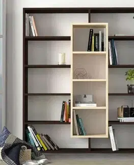 Regály SAMPLE designová knižnica, wenge/maple