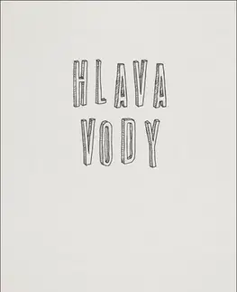 Česká poézia Hlava vody - Stanislav Denk