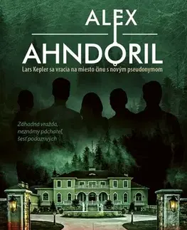 Detektívky, trilery, horory Nájdem ten kľúč - Alexander Ahndoril,Jana Melichárková