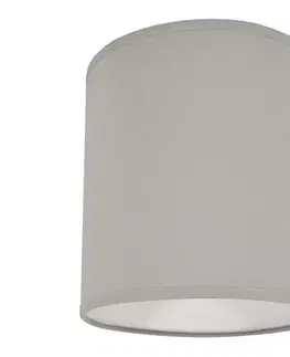 Svietidlá  Stropné svietidlo 1xE27/40W/230V šedá D-9038